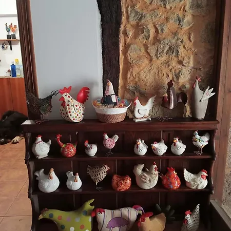 Gallinas De Maria San Miguel de Aras