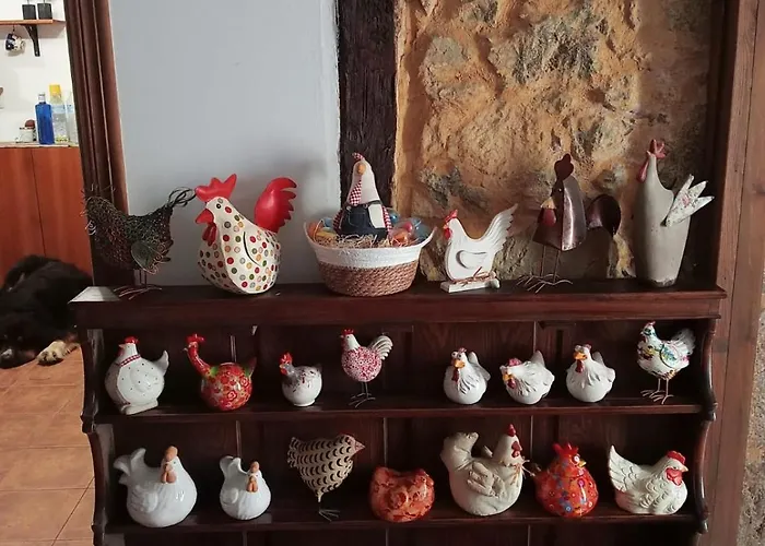 Gallinas De Maria San Miguel de Aras